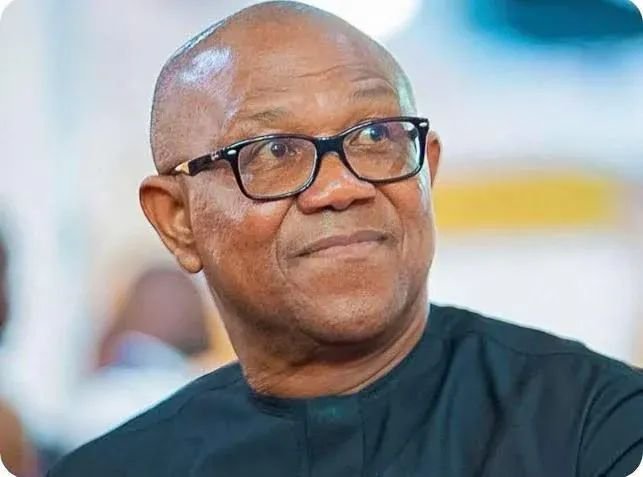 Peter Obi Urges Africans in Diaspora to Champion Credible Elections, Good Governance Across the Continent!