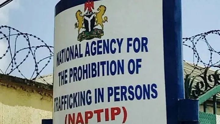 NAPTIP Arrests 120 Suspected Human Traffickers, Rescues Over 300 Victims in Ondo!