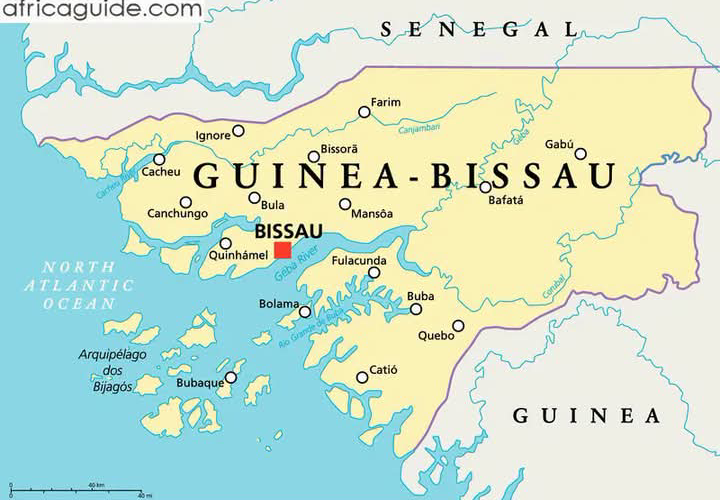 Guinea-Bissau Opposition Leader Domingos Simões Pereira Returned to Prison Amid Alleged Coup Plot Case!