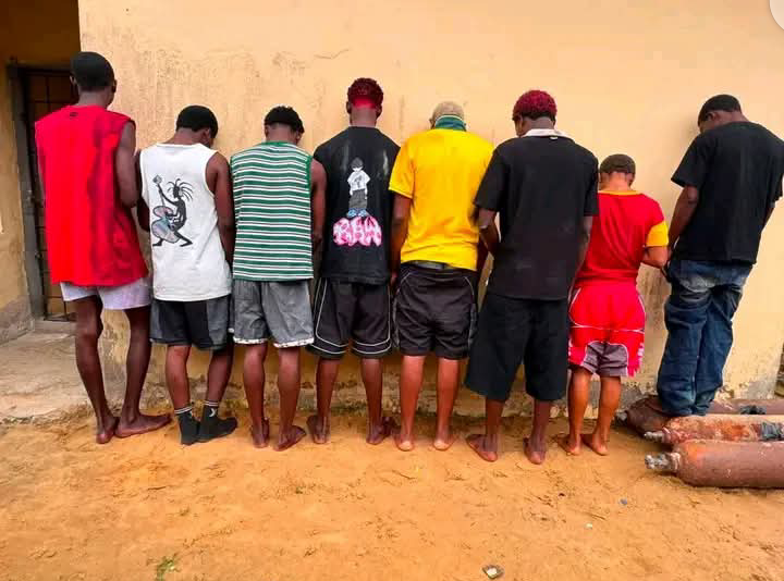 Bayelsa Police Arrest Eight Suspected Cultists Over Alleged Assault on Niger Delta University Student!