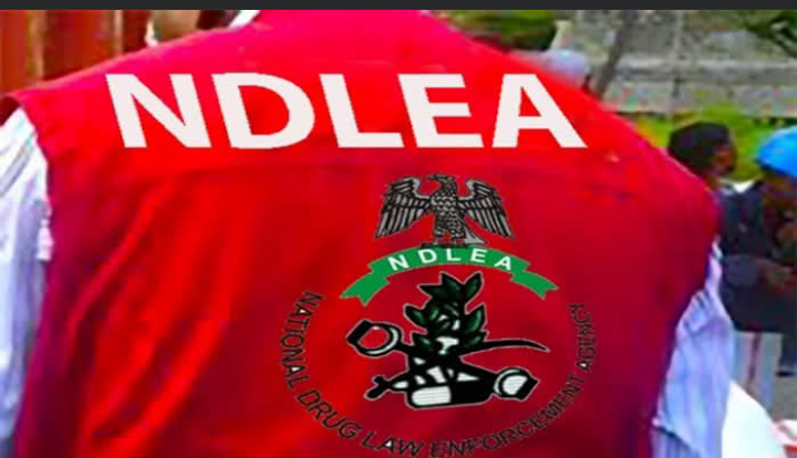 NDLEA Busts Suspected Drug Warehouse in Edo, Arrests Couple as Nigeria Intensifies Fight Against Illicit Drug Trade!