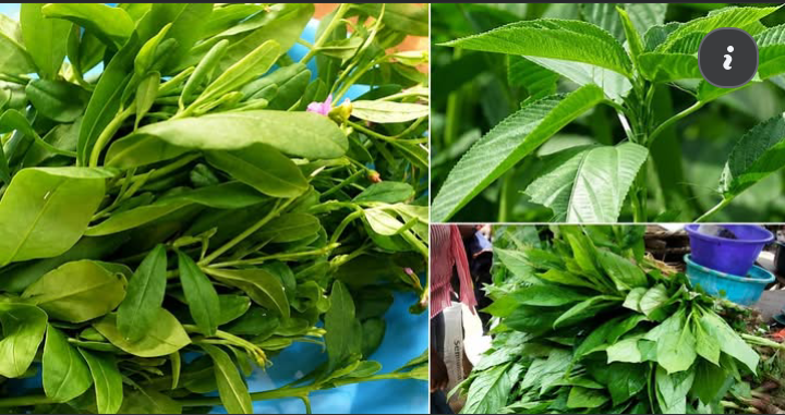World Brain Day 2026: Daily Consumption of Green Leafy Vegetables May Reduce Stroke Risk, Health Experts Say!