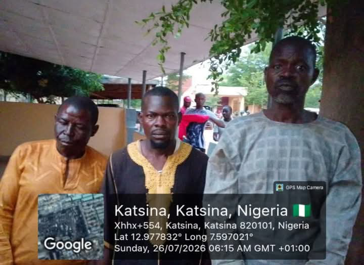 Troops Rescue Kidnap Victim, Recover 126 Rustled Livestock in Katsina as Security Operations Intensify!