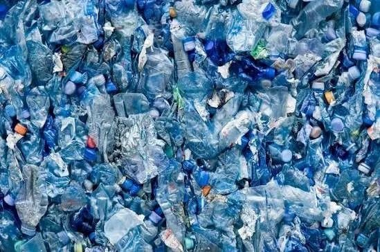 Rite Foods Recycles 858 Tonnes of Plastic Waste in 2025, Deepens Commitment to Environmental Sustainability!