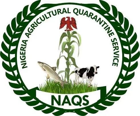 NAQS Warns Job Applicants Against Fake Recruitment Syndicates, Says Employment Process Is Free!