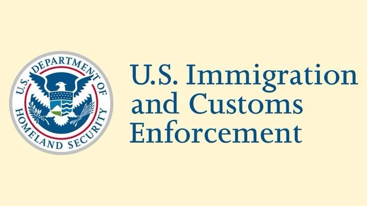 U.S. immigration enforcement register showing Nigerian nationals listed in cases involving fraud, identity theft and other criminal offences.