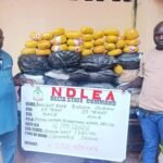 NDLEA operatives displaying seized illicit drugs during an enforcement operation in Nigeria.