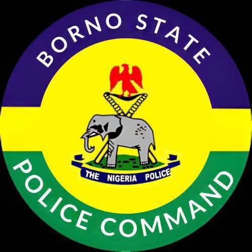 Five men in Maiduguri face police charges after allegedly printing and wearing T-shirts bearing the words Tinubu Must Go.