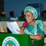 Dr Nonye Soludu making a speech in a meeting