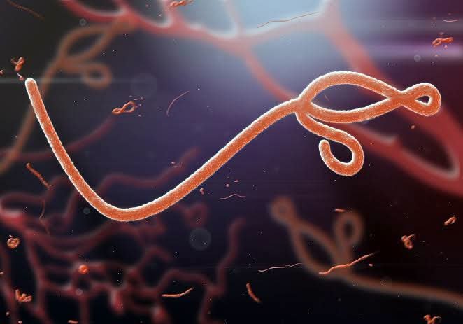 Ebola healthcare workers supporting outbreak response at a treatment centre in the Democratic Republic of the Congo.