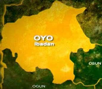 Why Oyo State Withdrew From Botswana Maize Export Plan — Government!